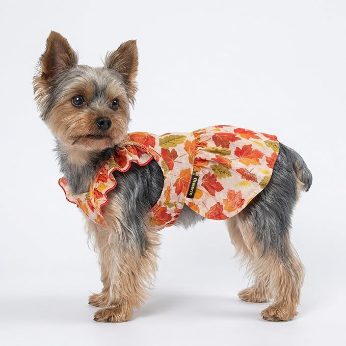 Fitwarm Maple Dog Dress, Ruffled Doggy Thanksgiving Dress, Fall Dog Clothes for Small Dogs Girl, Pet Outfit, Red, Orange, Large