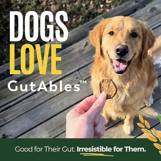 GUSSY'S GUT GutAbles- Award Winning White Oak Pastures Pork & Fermented Prebiotic Treat for Dog Gut & Digestive Health- Human Grade Ingredients – Gussy’s Delight Phase