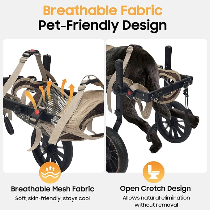 Adjustable Large Dog Wheelchair for Hind Legs | Rehabilitation Walking Aid with Harness & Large Wheels for Disabled & Senior Dogs, Up to 65kg/143lbs