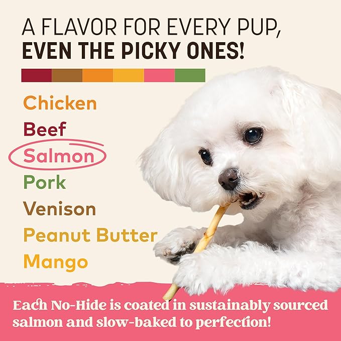 Earth Animal No Hide Stix - Long Lasting Rawhide Free Small Dog Chews Sticks, Salmon - 10 Count