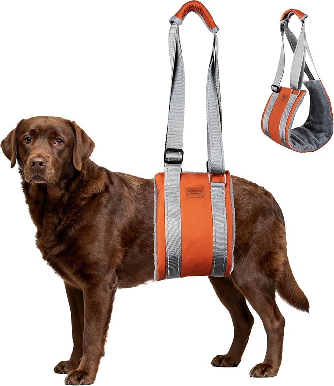 Dog Sling for Back Legs Dog Lift Harness Magic Tape Hip Support Harness Rehab to Help Senior,Injured,Arthritis,Hip Dysplasia,Weak Rear Leg,Disabled,After ACL/CCL Surgery,TPLO Dogs (Brown, XL)
