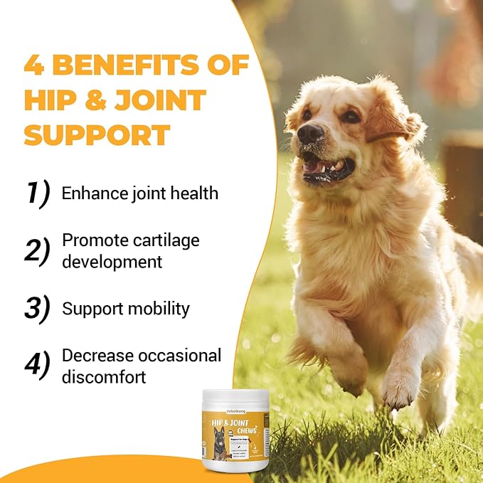 180 Chews Glucosamine Chondroitin Joint Chews for Dogs, Chicken Flavor 13 in 1 with Glucosamine, Chondroitin, MSM, Omega-3 Support Hip & Joint Support - Joint Pain Relief Flavored Fit All Breed