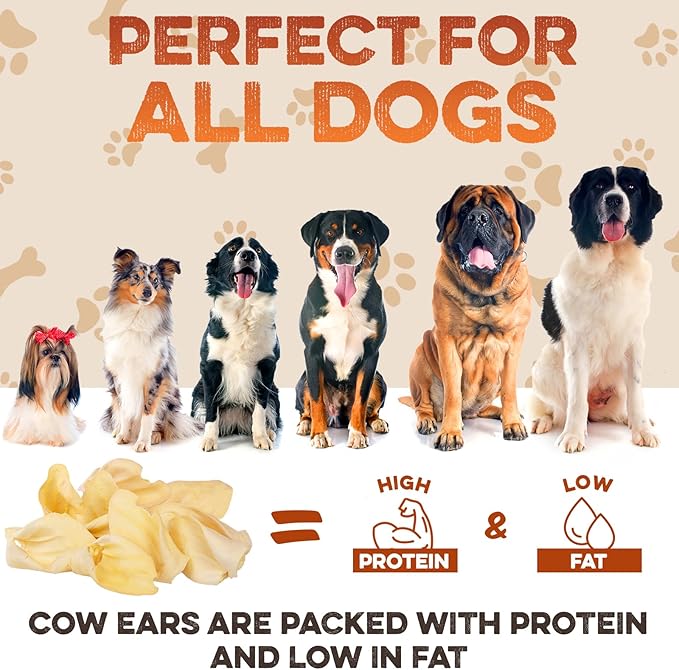 BRUTUS & BARNABY Cow Ears for Dogs – Halves 12 ct, Thick Cut, Grass-Fed Angus Beef, All-Natural No-Rawhide Dog Treat Alternative