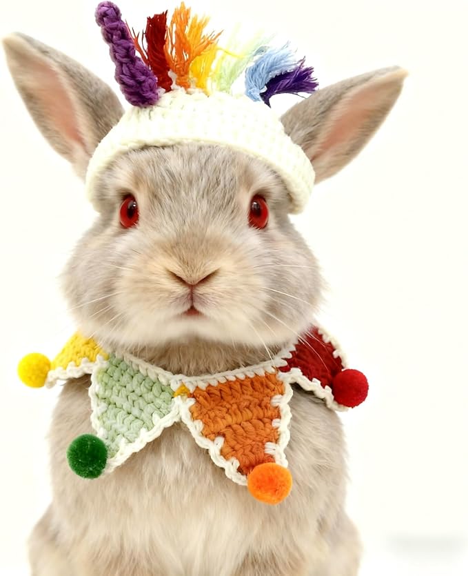 Cat Costume,Unicorn Dog Costume,Handmade Knitted Rainbow Dog Outfit,Cat Birthday Clothes,Pet Cloth for Cats and Small to Medium Dogs, Party, Holiday, Daily Wear & Photos