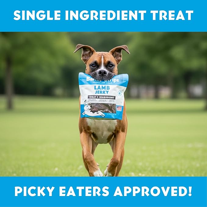 Barkin Burger Strips Made of Only Lamb Dog Treats 12 oz Pouch Premium One-Ingredient, All-Natural, Low-Fat, Lean Protein Jerky Treats for Dogs and Breeds