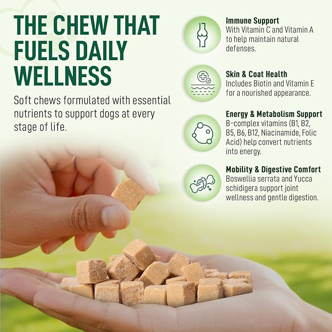 14-in-1 Multivitamin for Dogs – 120 Bacon Soft Chews | Daily Vitamins with Joint Support, Immune Health, Skin & Coat | A, D3, E, C & B-Complex | All Breeds & Ages