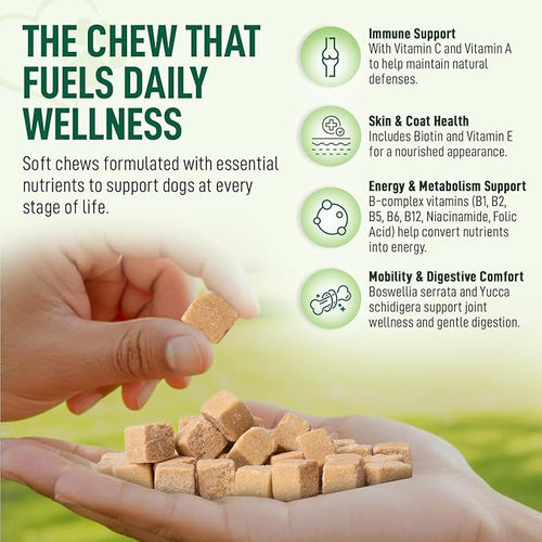 14-in-1 Multivitamin for Dogs – 120 Bacon Soft Chews | Daily Vitamins with Joint Support, Immune Health, Skin & Coat | A, D3, E, C & B-Complex | All Breeds & Ages