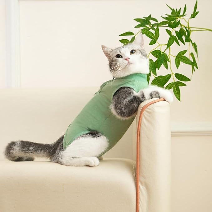 kzrfojy Cat Recovery Suit Cat Onesie for Cats After Surgery Female Male Spay Kitten Neuter Surgical Bodysuit Post Surgery Cone of Shame Alternative Anti Licking(Green, Medium)