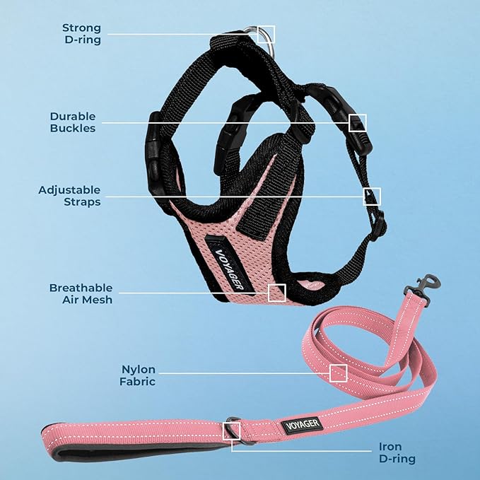 Best Pet Supplies Voyager Step-in Lock Pet Harness w Reflective Pet Leash Combo Set with Neoprene Handle 5ft - Supports Small, Medium and Large Breed Puppies/Cats - Pink/Black Trim, L