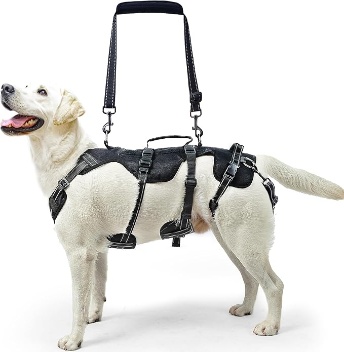 PUPTECK Dog Lift Harness for Medium Large Sized Dog, Rehabilitation Sling for Hind Leg Support, Multifunctional Mobility Assistance Harness for Old, Disabled, Joint Injuries, Paralysis Dogs