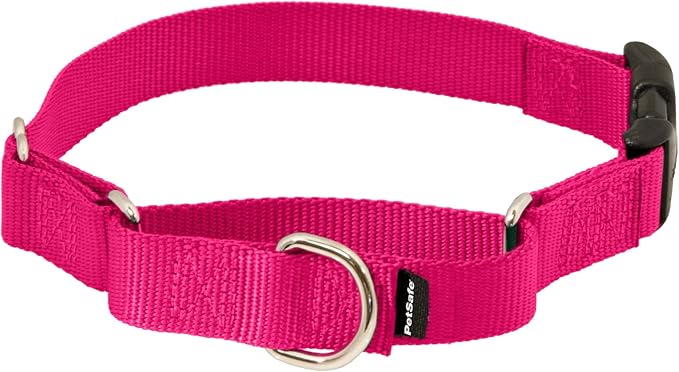 PetSafe Martingale Collar with Quick Snap Buckle - Adjustable No-Slip Design for Better Leash Control - Durable Nylon Material - Humane Gentle Correction for Safer Training - Small - Raspberry Pink
