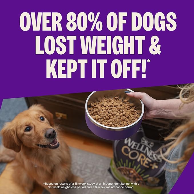 Wellness CORE Dry Dog Food, Grain-Free, High Protein, Natural, Healthy Weight Turkey & Chicken Recipe, (26-Pound Bag)