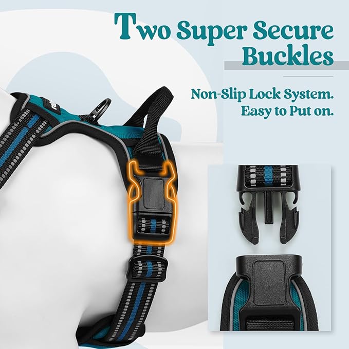 rabbitgoo Dog Harness No Pull with 2 Leash Clips, Adjustable Soft Padded, Reflective Oxford No Choke Pet Vest with Easy Control Handle for Medium Sized Dogs, Blue Coral, M