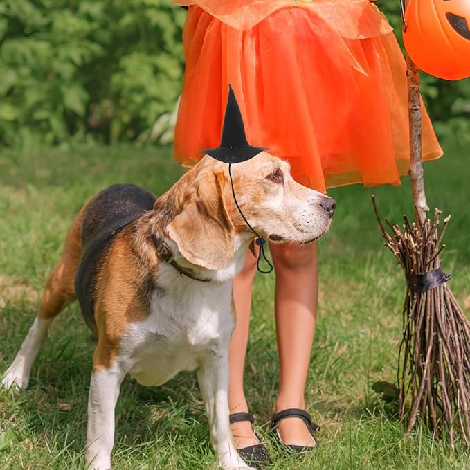 BESTOYARD Halloween Pet Hat Witch Hat for Dogs and Cats Adjustable Pet Headwear Reusable Washable Halloween Costume Accessory for Pets Party Cosplay