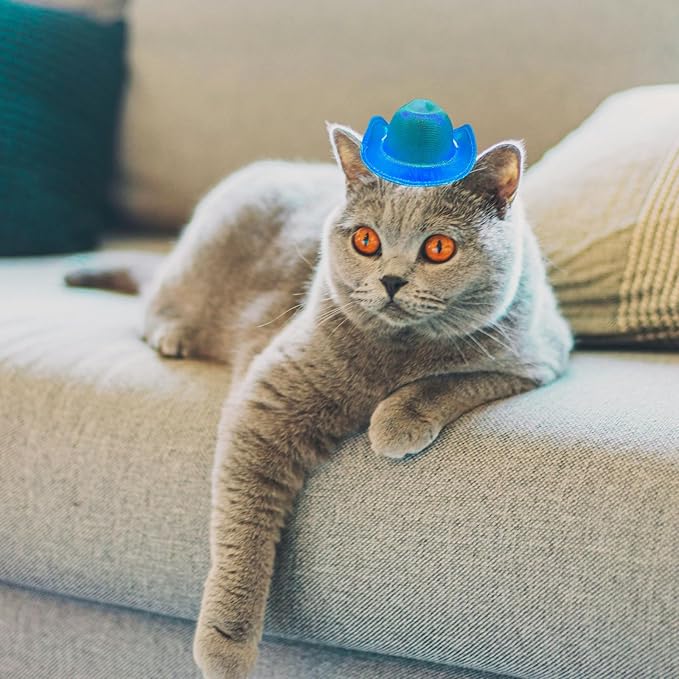 Dog and Cat Cowboy Hat With Bandana Scarf - Mini Pet Costume for Holiday, Halloween, Party Decoration (Blue-style2, Small)