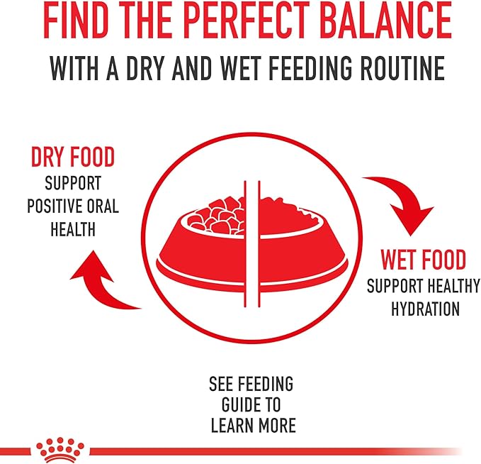 Royal Canin Breed Health Nutrition Shih Tzu Adult Loaf in Sauce Dog Food, 3 oz (Pack of 6)