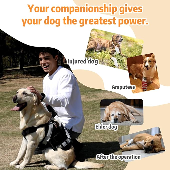 Dog Lift Harness for Large Dogs,Full Body Dog Sling Carrier with Handle,for Up Stair/Back Legs Support/Dogs Joint Injuries/Arthritis (Black, Large)