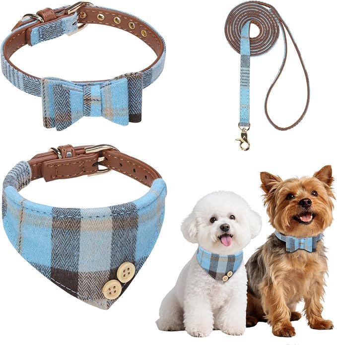 BINGPET Puppy Collar and Leash Set for Small Dogs, Plaid Bowtie Dog Collars Bandana for Boy Girl Dogs, Cute Adjustable Collar and Leash Set with Bow for Dog Cat Outdoor Walking, Blue S (No Bell)