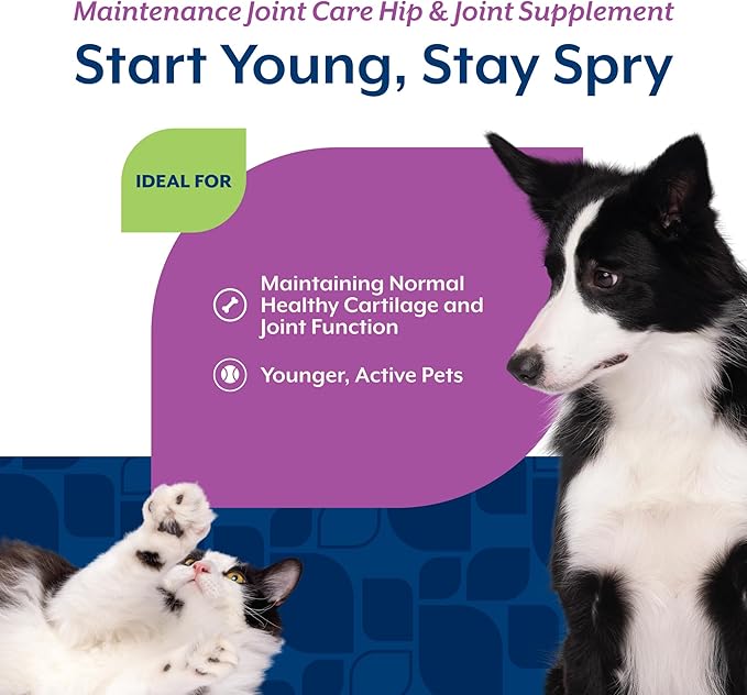 NaturVet Glucosamine DS Level 1 Maintenance Care Hip & Joint Support Pet Supplement for Dogs & Cats –Glucosamine, Chondroitin, Antioxidants –Supports Cartilage, Joint Function – 60 Ct.