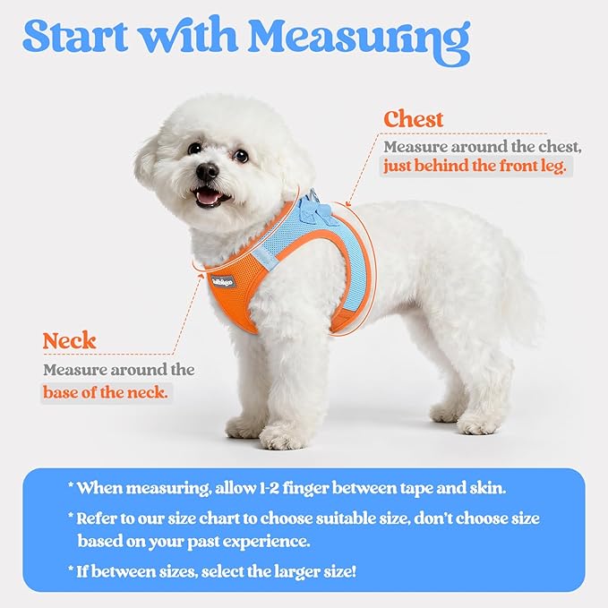 rabbitgoo Dog Harness Small Sized and Leash Set, Step in Soft Light Puppy Vest, Breathable Mesh Pet Harness, Reflective for Safe Easy Walking, Blue & Orange XXXS