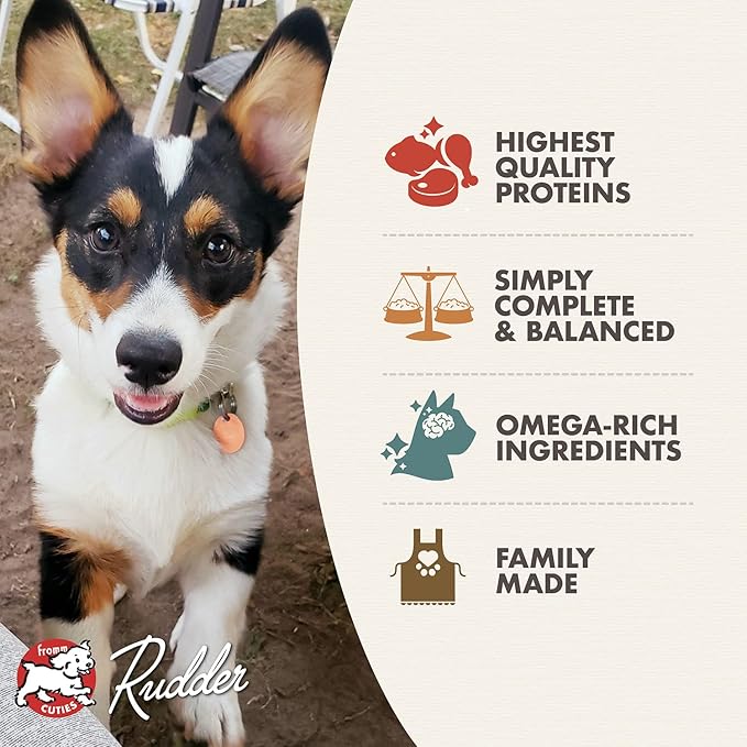 Fromm Classic Puppy Chicken & Salmon Pate Dog Food - Premium Wet Dog Food - Chicken Recipe - Case of 12 Cans
