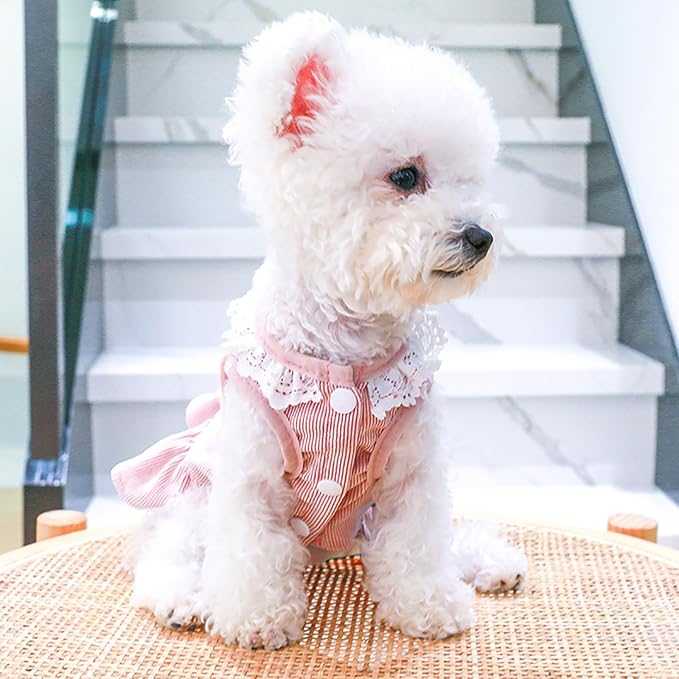 Dog Dresses for Small Dogs Girl Summer Puppy Cute Clothes Outfit Apparel Female Suspender Skirt Pup Yorkie Clothing Breathable Pet Dress for French Dogs Chihuahua