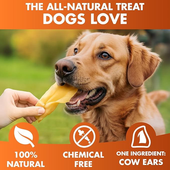 BRUTUS & BARNABY Cow Ears for Dogs – Whole Ears 100 ct, Thick Cut, Grass-Fed Angus Beef, All-Natural No-Rawhide Dog Treat Alternative