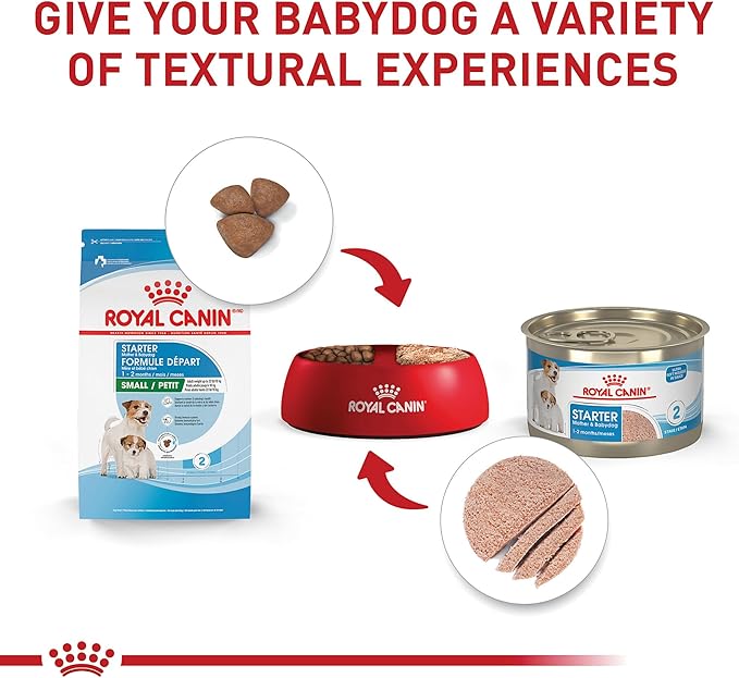 Royal Canin Size Health Nutrition Starter Mother & Babydog Mousse in Sauce Dog Food, 5.1 oz (Pack of 24)