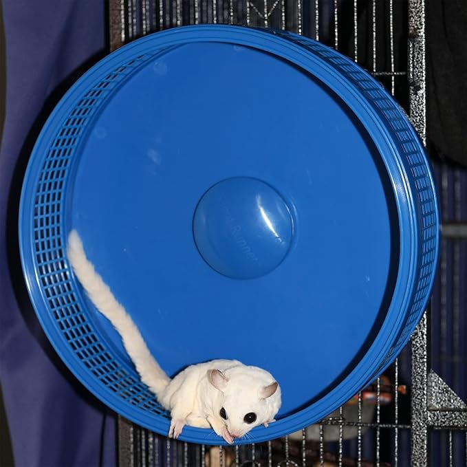 Silent Runner Pro | Sugar Glider Exercise Wheel (Black with Attachment)