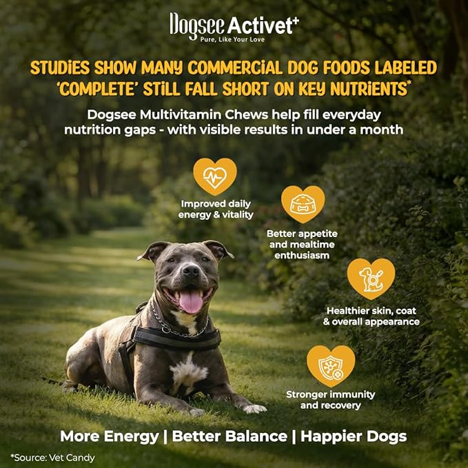Dogsee Activet+ Dog Multivitamin Supplement Chews, with Vitamins, Minerals, Probiotics, Omega Fatty Acids & Glucosamine, Daily Wellness & Vitality Support, Chicken Flavor – 90 Chews