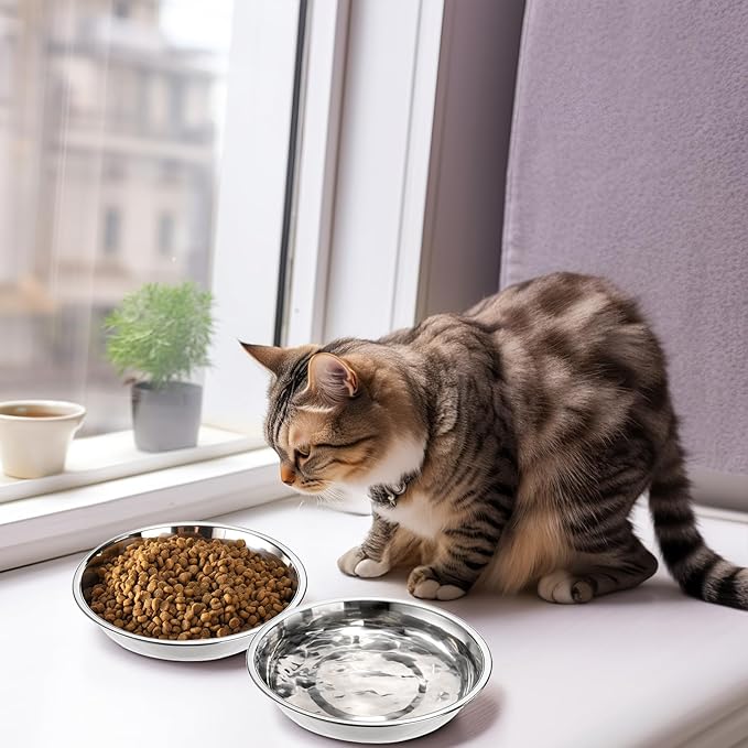 DEAYOU 5 Pack Stainless Steel Cat Bowls, 7.7" Wide Shallow Cat Food and Water Dish, 16 OZ Basic Pet Feed Bowl, Metal Replacement Bowl Plate for Kitten, Puppy, Dog, Elevated Stand, Whisker Friendly