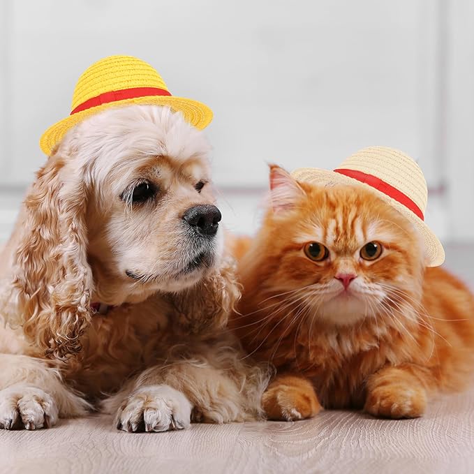 Beautyflier Pet Straw Hat Party Decorations Halloween Cosplay Cap Puppy Pet Dog Cat Holiday Costume for Small Dog Cat (Beige + Yellow)