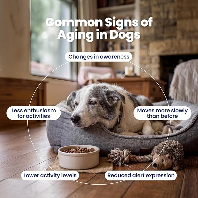 NAD+ Precursor & Senior Dog Supplement - 90 Soft Chews - NMN Alternative for Longevity & Healthy Aging - Nicotinamide Riboside, Resveratrol, Quercetin, Made with Pasture-Raised Chicken