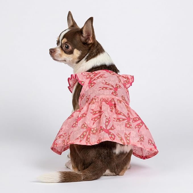 Fitwarm Ruffle Sleeves Bowknot Dog Dress, Birthday Clothes for Small Dogs Girl, Pet Outfit, Pink, XXS