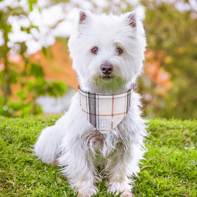EXPAWLORER Dog Collar and Leash - Embroidery Pawprints Plaid Medium Dog Collars and Leash Set, Cute Bandana and Detachable Collar, Suitable for Small Dogs Cats Girl Boy, Cream M