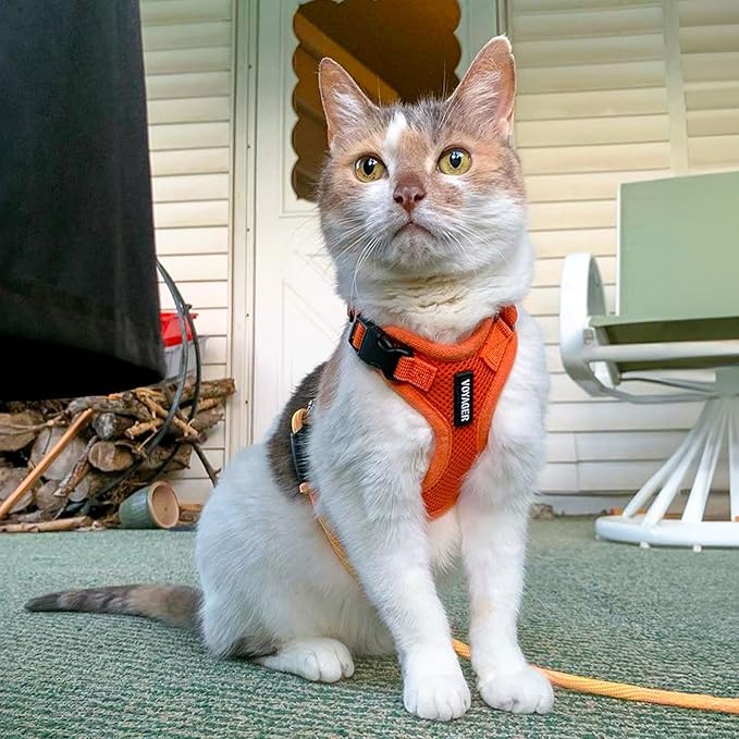 Best Pet Supplies Voyager Step-in Lock Pet Harness w Reflective Pet Leash Combo Set with Neoprene Handle 5ft - Supports Small, Medium and Large Breed Puppies/Cats - Orange, XS