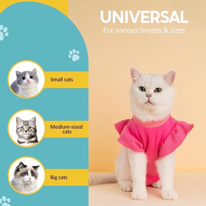 Avont Cat Recovery Suit - Post-Surgery Onesie for Cats, Alternative to Cone of Shame, Protective Spay Suit for Female Kitten, Ideal for Healing and Skin Conditions -Magenta(M+)