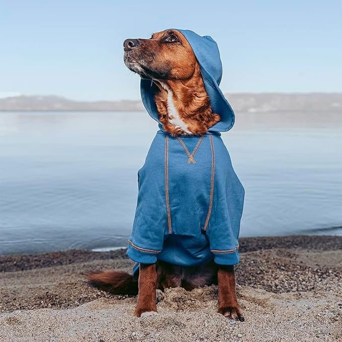 Blueberry Pet Essentials Hoodie – 18″ Cotton‑Blend Sweatshirt with Hood, Alaskan Blue, Machine‑Washable Dog Jersey