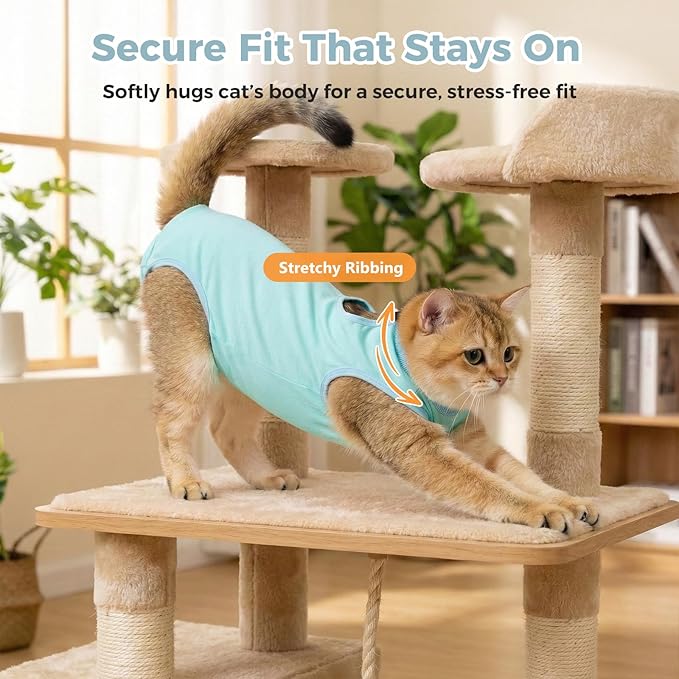Avont Cat Recovery Suit for Surgery, Breathable Anti-Licking Onesie for Kittens, Surgical Post-Operative Protective Bodysuit, Comfortable Alternative to E-Collar -Mint (M)