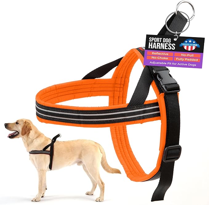 ComfortFlex Sport Dog Harness – No-Choke, Fully Padded, Non-Chafing Harness with Control Handle – Reflective, Lightweight, Adjustable for Active Dogs - Large, Hunter Orange