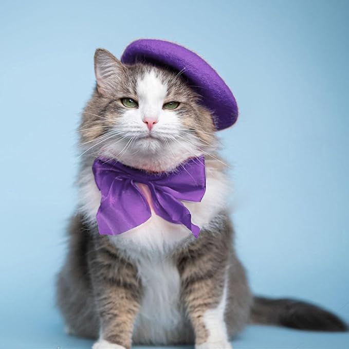 Dog Beret for Small Dogs Cat Doll, Colorful Wool Mini Cap Creative Accessories Costume French Mushroom Artist Fedora Hat Beanies Solid Color Pet Headwear Christmas Hair Accessory Photo Props (Purple)