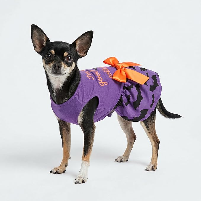 Fitwarm 100% Cotton I'm The Good Witch Halloween Dog Costume Puppy Dress Doggie Party One Piece with Bowknot Pumkin Bat Pet Vest Shirt Holiday Cat Outfits Purple X-Small