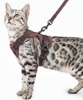 Cat Harness and Leash Set Escape Proof Tactical Medium Kitten Harness Emotional Support Cat Vest, Brown, M