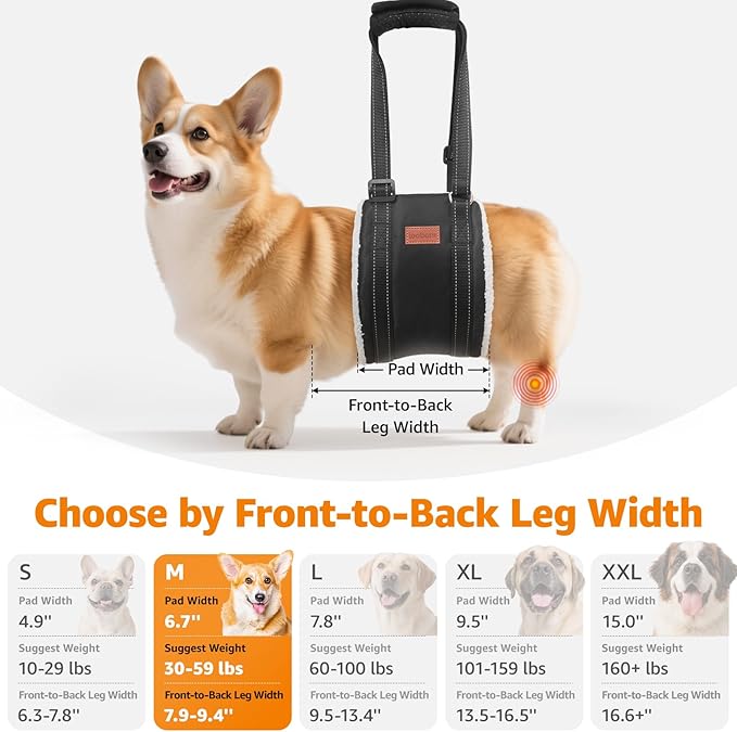 LOOBANI Portable Dog Sling for Back Legs, Hip Support Harness to Help Lift Dogs Rear for Canine Aid and Old K9 Cruciate Ligament Rehabilitation