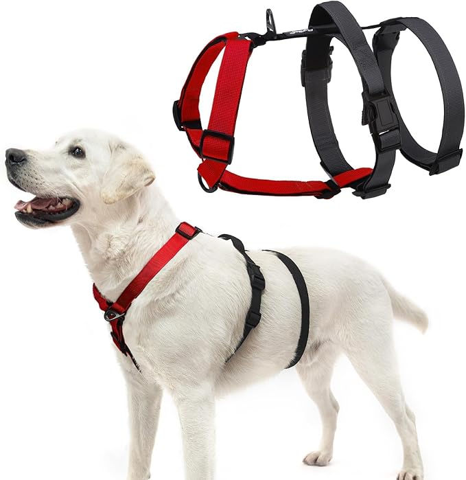 PUPTECK Escape Proof Dog Harness - No Pull Soft Padded Full Body Pet Halter Harness with Lift Handle for Small Medium Large Doggies Walking Hiking Hunting, Red & Black, M