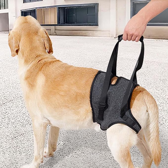 Ldabrye Practical Dog Carrying Harness Slide for Rear Legs Assistance and for Small Mediums Large Dog Daily Casual