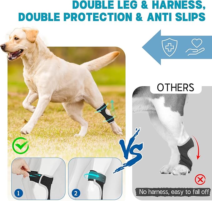 Supet Dog Leg Brace for Back Leg - Hock & Ankle Joint Support for Rear Legs with 2 Metal Springs, Anti-Slip Design & Reflective Trim for Sprain, Arthritis, Injury & Wound Recovery (Black, 2XL)