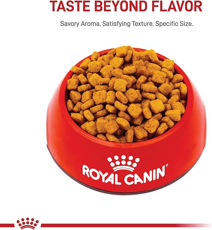 Royal Canin Breed Health Nutrition Dachshund Adult Dry Dog Food, 2.5 lb Bag