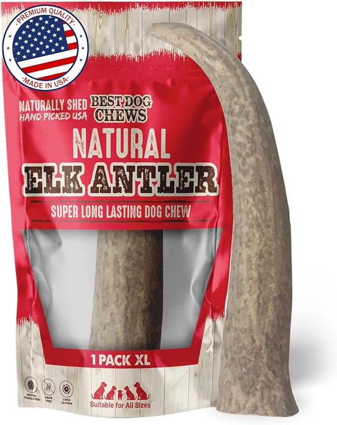 Elk Antlers for Dogs Large - Premium Natural Antler Dog Chew for Aggressive Chewers - Long-Lasting Deer Antler Chews - Ideal for Medium to Big Breed Dogs - Elk Bones and Antlers Durable