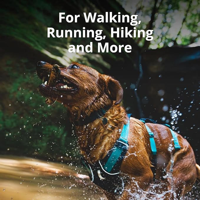 Ruffwear, Flagline Dog Harness, Lightweight and Reflective, No Pull Dog Lift Harness for Hiking, Running and Everyday Use, Lichen Green, Large/X-Large